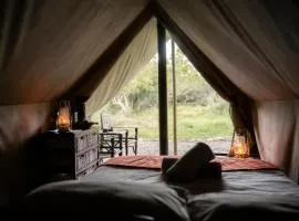 Quatermain's 1920's Safari Camp – Amakhala Game Reserve