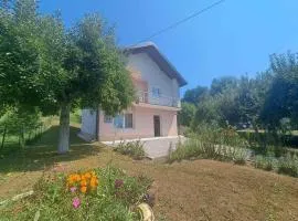 Villa Oaza Zeleni Vir Olovo