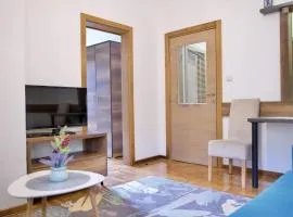 VIK apartman Brzece