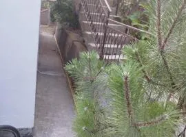 Nice 2 bedroom apartment with free parking