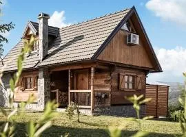 Stunning Home In Kostanjevac