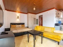 Penthouse Rooftop Studio with King bed