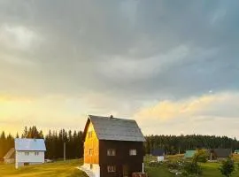 Village house Popovic
