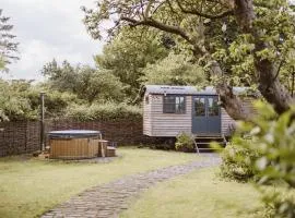 The Starlight Hideaway