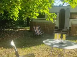 Caravane années 80 dans la verdure au Domaine des Oiseaux