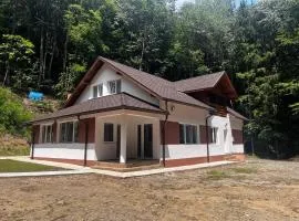 Cabana Cascada Lotrisor