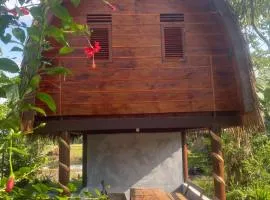 Darma Homestay