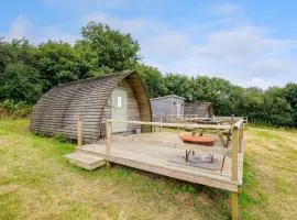 Hen House Penbugle Organic Farm
