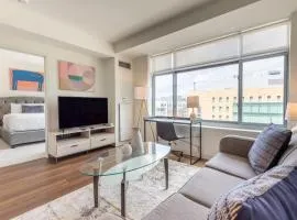 Luxury Apt Near Charles River