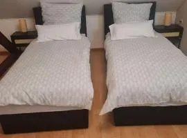 Comfortable Apartment