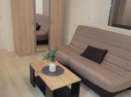 Studio proche centre-ville, hotel v destinaci Scionzier
