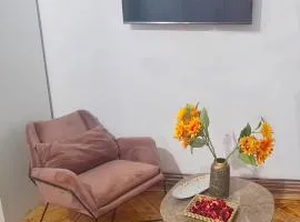 Cozy studio in noble house main square