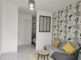 Charmant studio à Tours