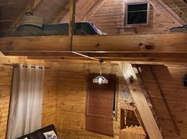 Refugio Golondrina, appartement in Futrono