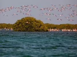 Flamingo Beach Hotel