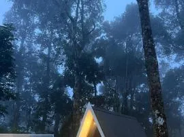 Roots Munnar