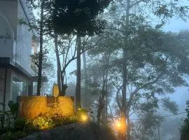 Roots Munnar