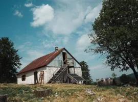 Household Šain