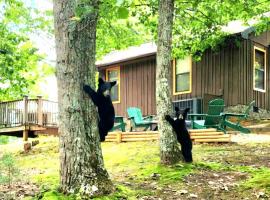 Authentic, Rustic, Cute & Cozy!, hotel v destinaci Pigeon Forge