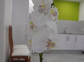 Apartamento Sanin 3