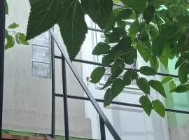 Verdes montañas