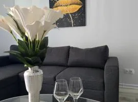Hotel Romania Apart Residence