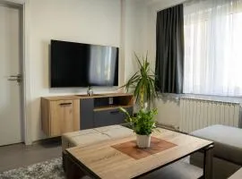 Fantasy apartment