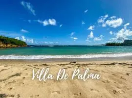 Villa De Palma -Oceanfront community w generator