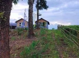 Himali Dara Homestay