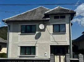 Casă privată