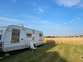 Deluxe Oase der Ruhe - Wohnwagen im Kornfeld