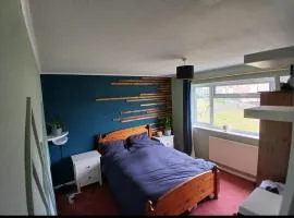 King room near Eastbourne pets are welcome