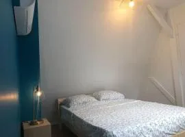 Logement entier - Vieux Tours - Centre - 3 chambres