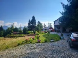 Căsuța din Pădure