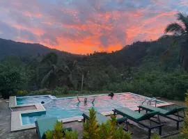 Rainforest Mount Lodge
