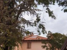 Coralupi B & B