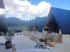 Cabana la Piatră