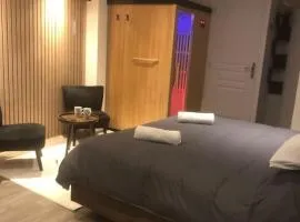 Élégant Studio avec Sauna Hyper centre