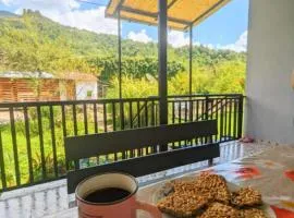 Guesthouse Among the Vines