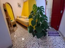 The Backyard Hostel