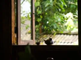Bluebird - Cozy Indigo Home