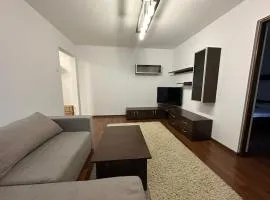 Zlata Cozzy Apartment USV