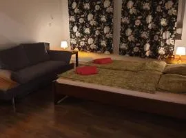 Apartament w Welskiej Kamienicy