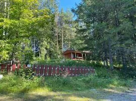 Villa vappu