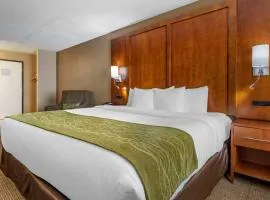 Comfort Inn Romeoville - Bolingbrook