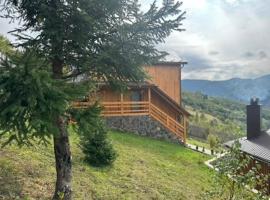 Садиба Трембіта з сауною та чаном, hotel v destinaci Rachov