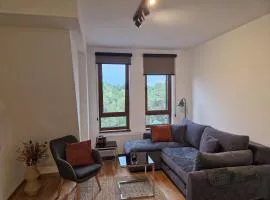 Divcinova - Apartman Gorski