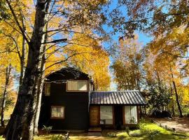 Daben Recinto &Ntilde;uble camino Termas de Chillan, casa de muntanya a Recinto