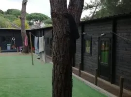 Surf Camp Ecológico