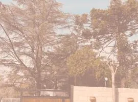 Quinta